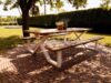 Tuin meubel - Picknicktafel